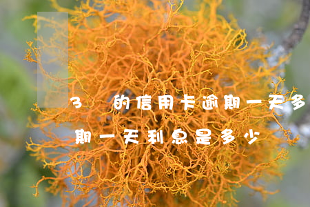 3萬的信用卡逾期一天多少錢(信用卡3萬逾期一天利息是多少)