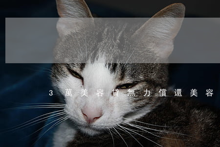 3萬美容貸無力償還(美容貸不還有沒有事)