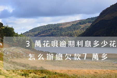 3萬花唄逾期利息多少(花唄借唄逾期3個月怎么辦總欠款7萬多)
