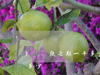 3萬貸款逾期一年多少錢(3萬貸款逾期一年多少錢)