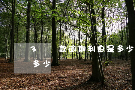 3萬貸款逾期利息是多少(房貸逾期三天利息多少)