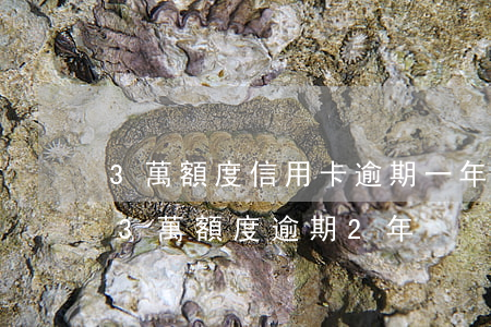 3萬額度信用卡逾期一年要還多少錢（信用卡3萬額度逾期2年）