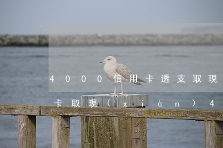 4000信用卡透支取現(xiàn)(信用卡取現(xiàn)4500利息是多少)