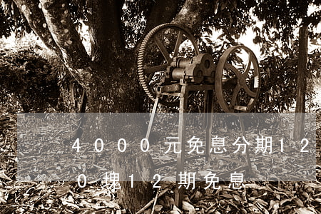4000元免息分期12月劃算嗎-4000塊12期免息