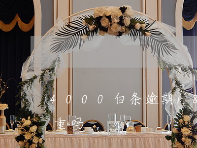 4000白条逾期18天(白条逾期24天严重吗)