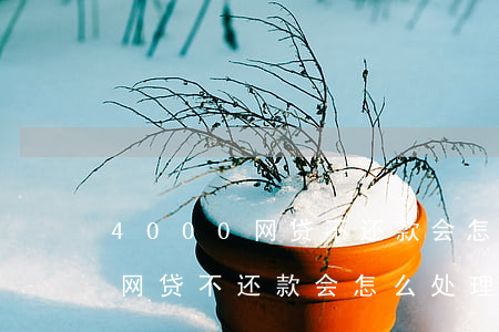 4000网贷不还款会怎么处理-4000网贷不还款会怎么处理呢