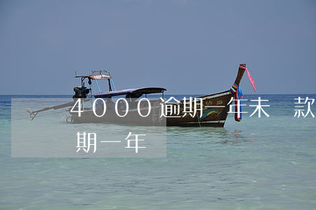 4000逾期一年未還款(欠信用4000逾期一年)