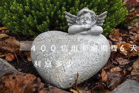 400信用卡逾期费6天(信用卡逾期10天利息多少)