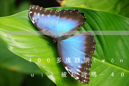 400多塊錢網(wǎng)貸逾期會(huì)被起訴嗎-400多塊錢網(wǎng)貸逾期會(huì)被起訴嗎知乎