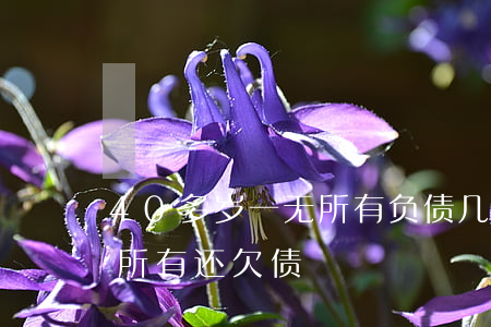 40多岁一无所有负债几十万-四十岁一无所有还欠债
