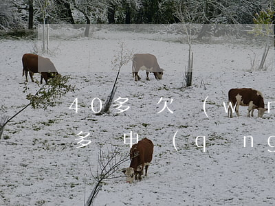 40多歲欠網(wǎng)貸的多不多(40多歲申請(qǐng)什么網(wǎng)貸)