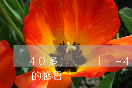 40多歲負債幾十萬-40多歲負債幾十萬的感悟
