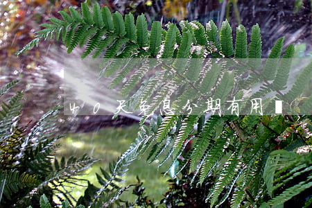 40天免息分期有用嗎