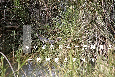 40岁的男人一无所有还欠债-男人四十岁一无所有还欠外债