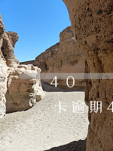 40歲無(wú)資產(chǎn)欠信用卡逾期(40歲無(wú)資產(chǎn)欠信用卡逾期)