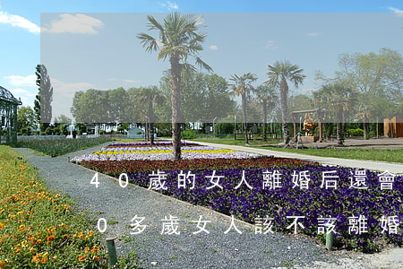 40歲的女人離婚后還會(huì)嫁嗎(40多歲女人該不該離婚)