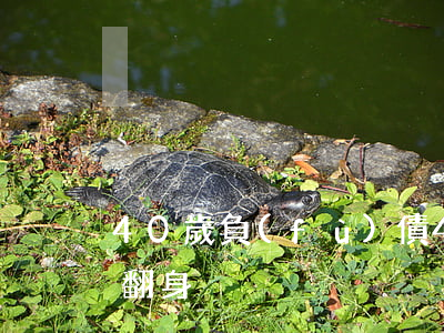 40歲負(fù)債40萬(wàn)怎么翻身