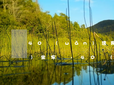 40萬(wàn)信用卡還不上會(huì)坐牢嗎-40萬(wàn)信用卡還不上會(huì)坐牢嗎百度