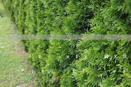 40萬(wàn)的欠款需要多少律師費(fèi)(30萬(wàn)欠款律師費(fèi)多少)