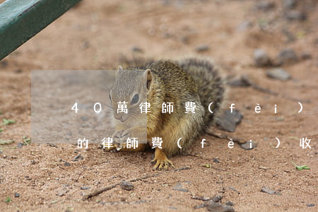 40萬律師費(fèi)用怎么收取(20萬的律師費(fèi)收取標(biāo)準(zhǔn))