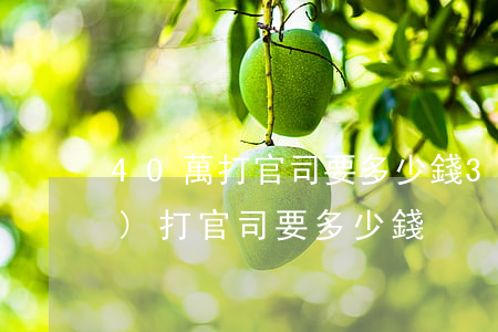 40萬打官司要多少錢(30萬的債務(wù)打官司要多少錢)