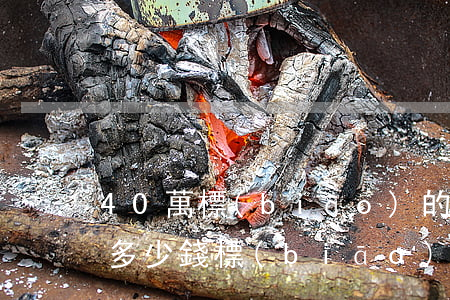 40萬標(biāo)的律師費(fèi)多少錢(標(biāo)的30萬的律師費(fèi)用)
