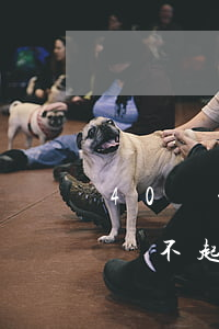 40萬的信用卡還不上怎么辦(信用卡幾十萬還不起怎么辦)