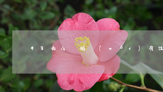 43女人離婚沒(méi)有性生活怎么辦
