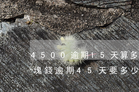 4500逾期15天算多少利息-4000塊錢逾期45天要多少利息
