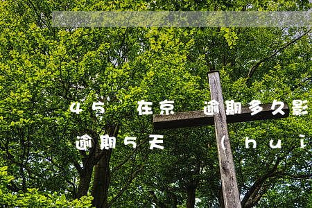 45塊在京東逾期多久影響征信-京東金融逾期5天還會(huì)不會(huì)影響征信記錄
