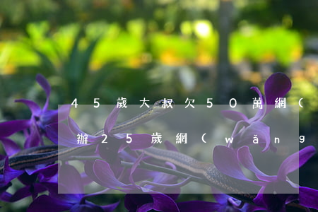 45歲大叔欠50萬網(wǎng)貸怎么辦(25歲網(wǎng)貸欠了十幾萬)