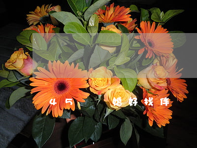 45歲離婚好找伴侶嗎(45歲該不該離婚)