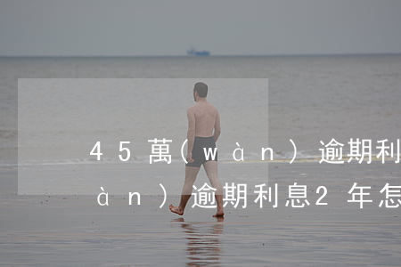 45萬(wàn)逾期利息2年(45萬(wàn)逾期利息2年怎么算)
