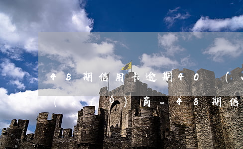 48期信用卡逾期40萬(wàn)怎么協(xié)商-48期信用卡逾期40萬(wàn)怎么協(xié)商還款