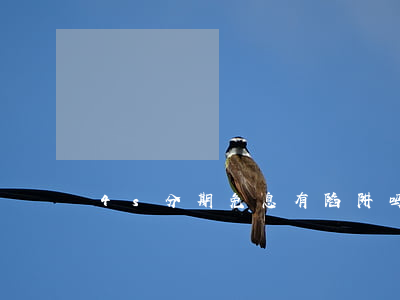 4s分期免息有陷阱吗