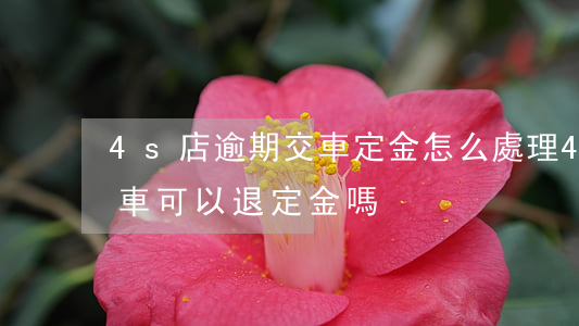 4s店逾期交車定金怎么處理 4s店逾期交車可以退定金嗎