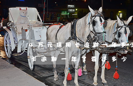 4万元信用卡逾期一年多少利息-4万信用卡逾期一年了要还多少
