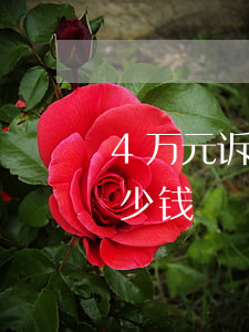 4万元诉讼费律师费多少钱(4万诉讼费是多少钱) 4万元诉讼费律师费多少钱(4万诉讼费是多少钱)