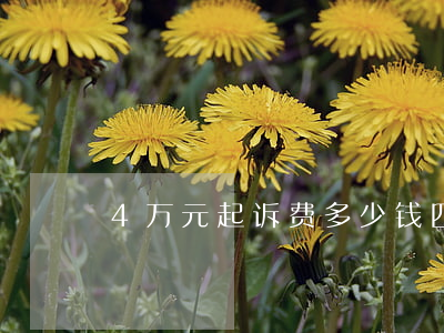 4万元起诉费多少钱(四万元起诉费多少钱)
