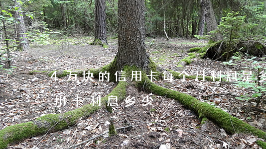 4万块的信用卡每个月利息是多少（四万的信用卡利息多少）