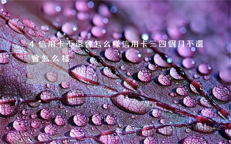4信用卡不還會怎么樣(信用卡三四個月不還會怎么樣)