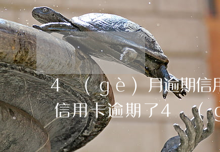 4個(gè)月逾期信用卡好催嗎-好幾張信用卡逾期了4個(gè)月會(huì)怎么樣
