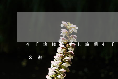 4千塊錢信用卡逾期(4千塊錢信用卡逾期怎么辦)