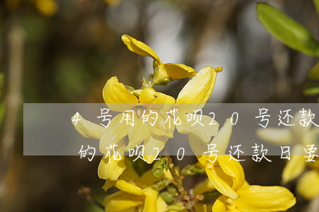 4号用的花呗20号还款日要还吗-4号用的花呗20号还款日要还吗怎么算