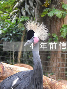 4年前信用卡逾期3塊錢