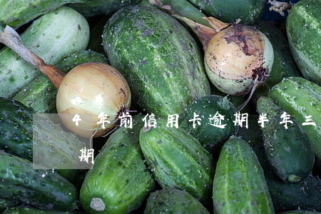 4年前信用卡逾期半年(三年前信用卡严重逾期)