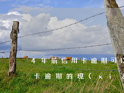 4年前信用卡逾期可以信用貸嗎(四年前信用卡逾期的現(xiàn)在還可以辦信用卡嗎)