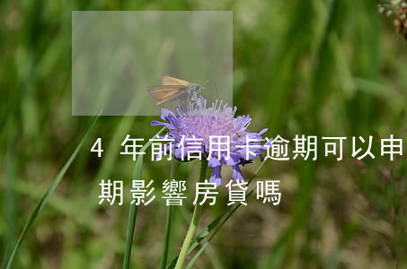 4年前信用卡逾期可以申請房貸嗎(四年前逾期影響房貸嗎)