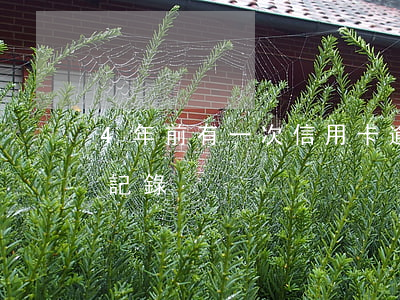 4年前有一次信用卡逾期（4年前信用卡逾期記錄）