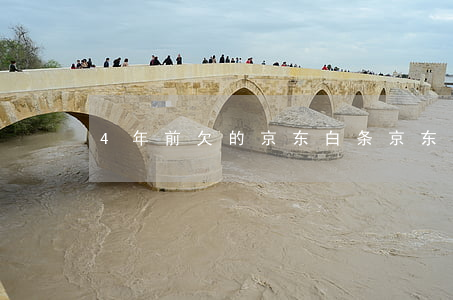 4年前欠的京东白条(京东白条欠了两年)